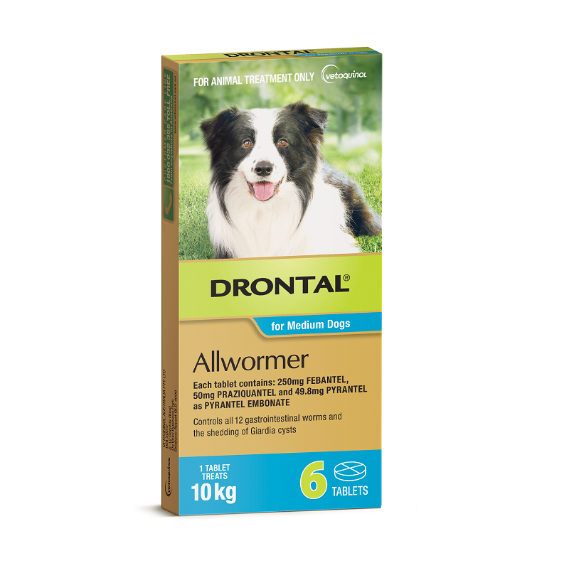 Drontal Wormers Tabs For Dogs 10Kg (Aqua)